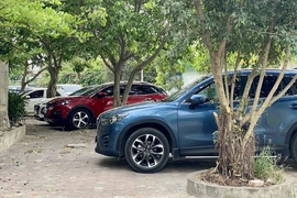 Triển khai thu phí không dừng tại bến xe, bãi đỗ xe trong đô thị