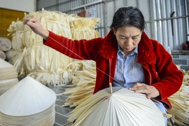 Nón lá Trường Văn: Giữ nghề để giữ sinh kế