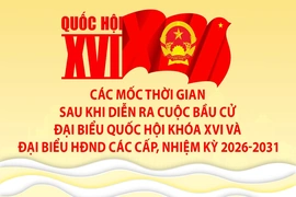 [Infographics] Các mốc thời gian sau khi diễn ra cuộc bầu cử Đại biểu Quốc hội khóa XVI và đại biểu HĐND các cấp nhiệm kỳ 2026-2031