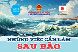 [Infographics]  Những việc cần làm sau bão