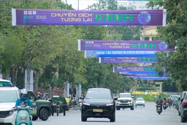 “Sáng tạo xanh - Tương lai xanh” thắp sáng Giờ Trái đất 2026