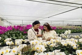 Hướng tới hội nghị xúc tiến đầu tư tỉnh Thanh Hóa năm 2026:&nbsp;Biến tiềm năng nông nghiệp&nbsp;công nghệ cao thành lợi thế