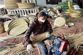 Phát triển ngành nghề&nbsp;nông thôn