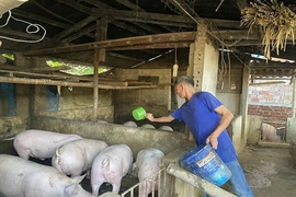 Ứng dụng công nghệ vi sinh&nbsp;trong chăn nuôi