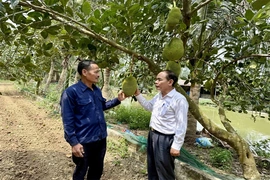 Người cao tuổi tham gia xây dựng Đảng, chính quyền