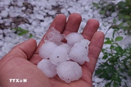 Chủ động ứng phó dông lốc, sét và mưa đá trong thời kỳ chuyển mùa