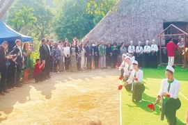 Hoàn thiện thể chế về văn hóa dân tộc