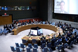 Hội đồng Bảo an chia rẽ về eo biển Hormuz