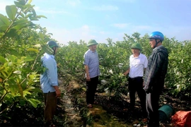 Hà Long triển khai các chương trình trọng tâm, khâu đột phá