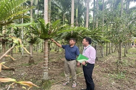 Nguồn vốn nhỏ, ý nghĩa lớn