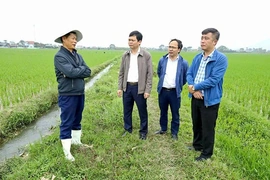 Đảng bộ xã Xuân Hòa đưa nghị quyết vào cuộc sống bằng hành động cụ thể