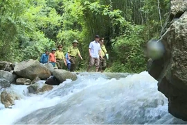 Khi môi trường rừng trở thành nguồn sinh kế