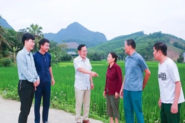 Những người “đi trước, làm trước”