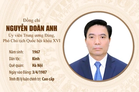 [Infographics] Tiểu sử Phó Chủ tịch Quốc hội Nguyễn Doãn Anh