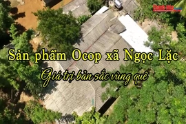 Sản phẩm Ocop xã Ngọc Lặc – Giá trị bản sắc vùng quê
