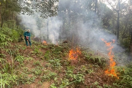 Dự báo và thông tin cấp dự báo cháy rừng từ ngày 9/4 - 13/4/2026