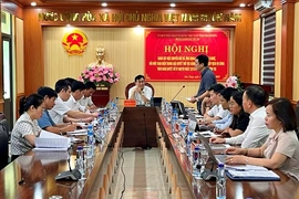 Giám sát thực hiện Nghị quyết số 57 của Bộ Chính trị tại xã Sao Vàng