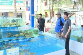 Siết chặt quản lý, bình ổn thị trường hàng hóa mùa du lịch