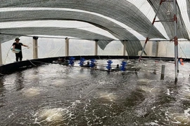 Hoằng Châu phát triển kinh tế,&nbsp;nâng cao thu nhập cho người dân