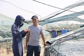 Tìm hướng đi bền vững cho&nbsp;nuôi trồng thủy sản vùng triều