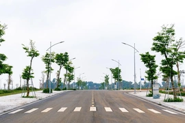 Hiệu ứng lan tỏa: Nhu cầu gia tăng đột biến