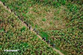 Dồn lực cho hành trình 500 ngày đêm xác định danh tính hài cốt liệt sỹ