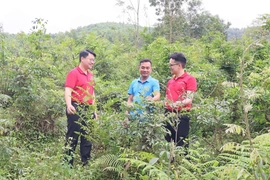 Dấu ấn tiên phong vì sự phát triển&nbsp;nông nghiệp xanh, bền vững