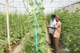 Dân vận khéo xây dựng “Xứ đạo bình yên, gia đình văn hóa”