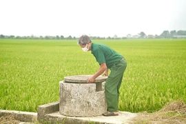 Từ bể chứa rác thải đến cánh đồng xanh, sạch