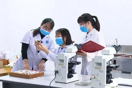 Tập trung nguồn lực loại trừ sốt rét