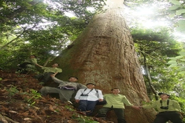 Bảo tồn tính đa dạng sinh học&nbsp;ở Vườn quốc gia Xuân Liên