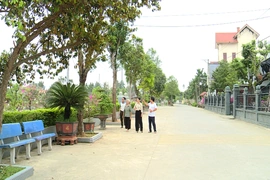 Xã hội hóa - động lực thúc đẩy xây dựng nông thôn mới