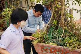 Chủ động phòng, chống dịch bệnh mùa hè