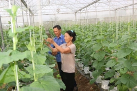 MTTQ xã Thiệu Tiến phát huy hiệu quả&nbsp;các phong trào thi đua yêu nước