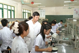 Đưa phong trào tuổi trẻ sáng tạo đi vào chiều sâu