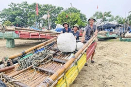 Hoằng Thanh thực hiện các giải pháp chống khai thác IUU