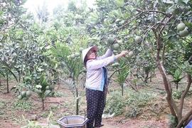 Khơi dậy nội lực ở Minh Sơn