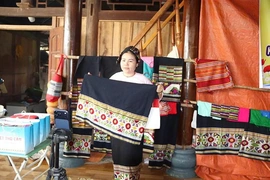 Hỗ trợ xây dựng thương hiệu cho các mô hình kinh tế tập thể do phụ nữ quản lý