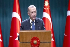 Tổng thống Erdogan: Châu Âu sẽ dễ bị tổn thương nếu thiếu Thổ Nhĩ Kỳ