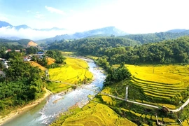 “Mạch sống” của bản làng