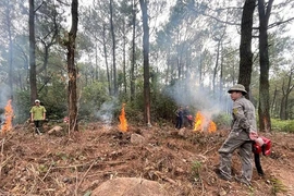 Sẵn sàng, chủ động mọi tình huống&nbsp;phòng, chống cháy rừng mùa nắng nóng