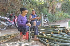 “Vàng xanh” ở miền núi xứ Thanh