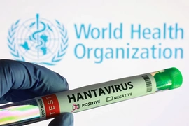 Các nước tăng cường cách ly, giới khoa học tìm lời giải vaccine cho virus Hanta
