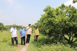 Nhận diện lợi thế, xác định hướng đi đúng để Yên Phú phát triển