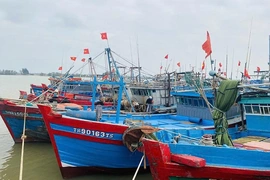 Sử dụng nhật ký điện tử&nbsp;để số hóa nghề cá