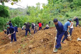 Chạy đua với thời gian trả lại tên cho các anh hùng liệt sĩ