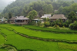 Văn Phú biến tiềm năng thành lợi thế phát triển du lịch