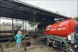 Toàn Cầu Envim khai trương chi nhánh miền Bắc, tiếp tục khẳng định vị thế trong lĩnh vực môi trường