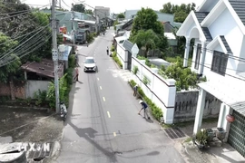 Thành lập Ban Chỉ đạo TW Chương trình xây dựng nông thôn mới giai đoạn 2026-2030