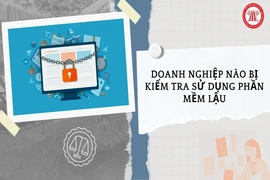 Doanh nghiệp nào bị kiểm tra sử dụng phần mềm lậu từ ngày 07/5/2026 đến 30/5/2026?